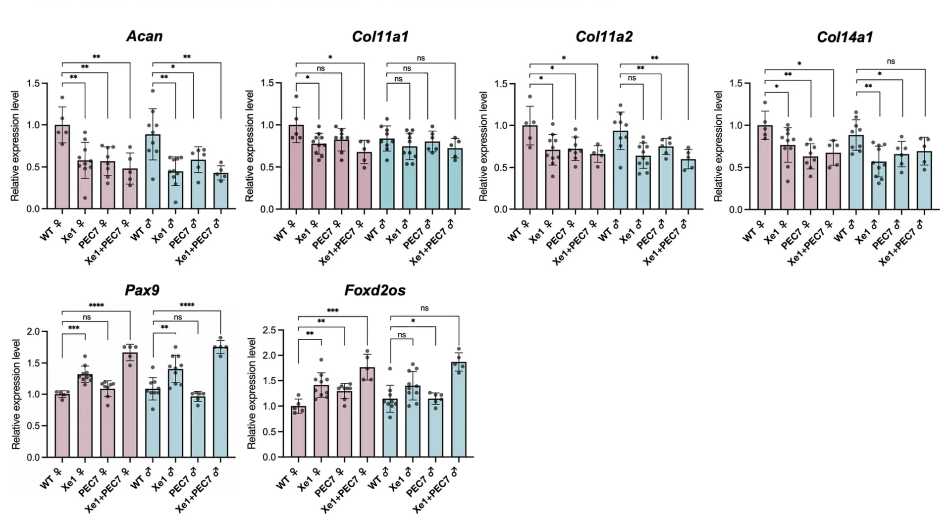 Open access visualization of Bar Plot, Error Bars, Scatter Plot, Gene Expression Levels, Mouse Tail