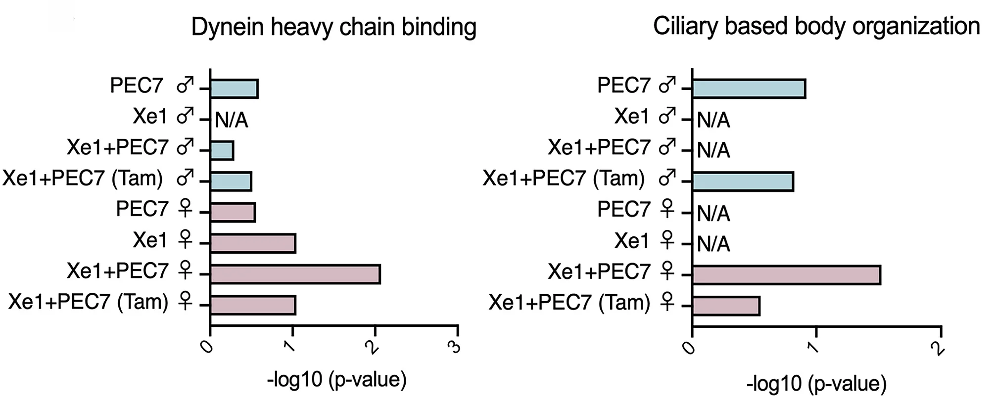 Open access visualization of Bar Plot, GO Terms, Gene Sets, Enhancer Knockout Mice