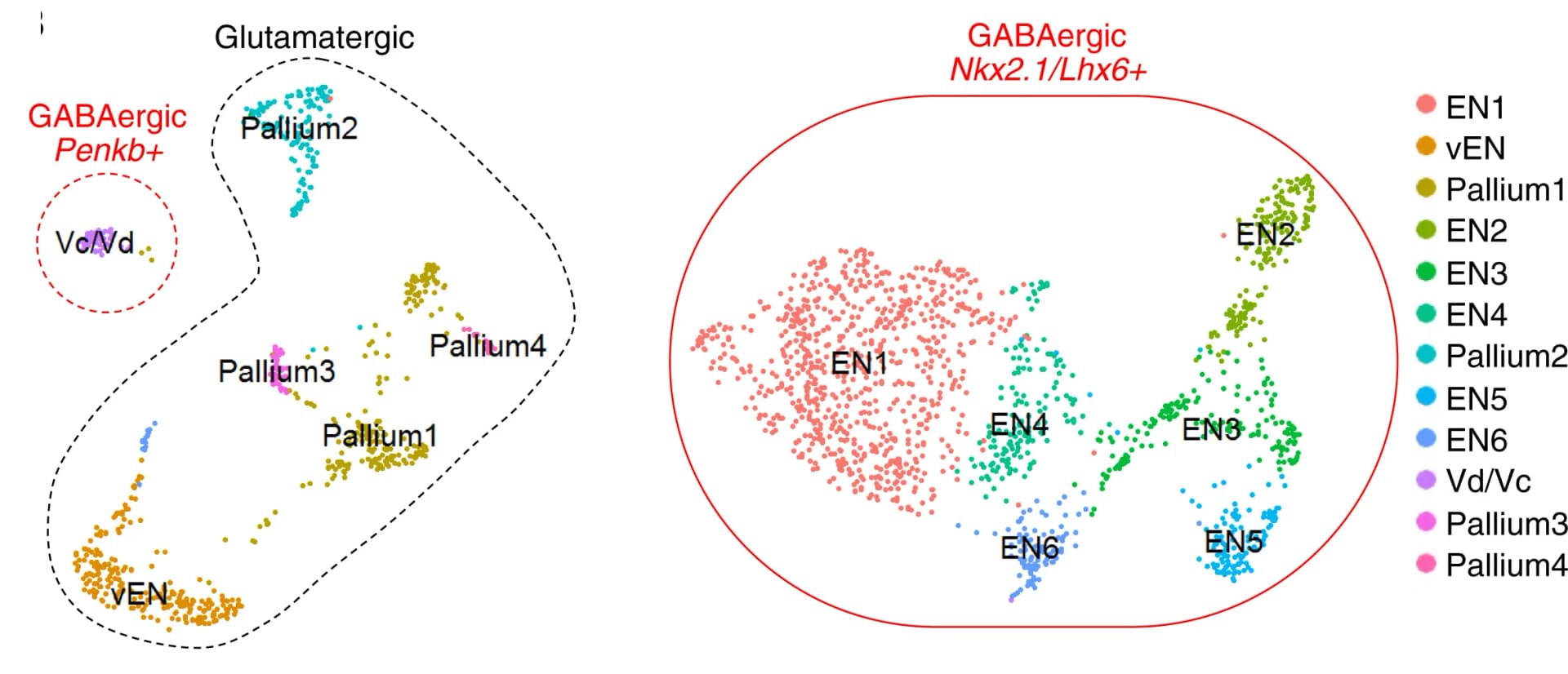 Open access visualization of Scatter Plot, UMAP, PCA, UMAP Plot, Clustering
