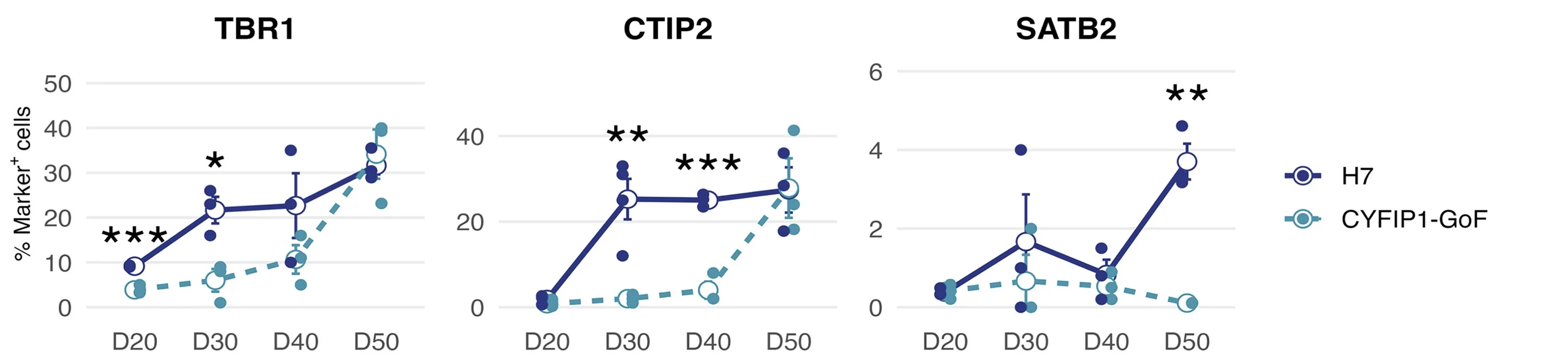 Open access visualization of Line Plot, Error Bars, Scatter Plot, Quantification, TBR1 Positive