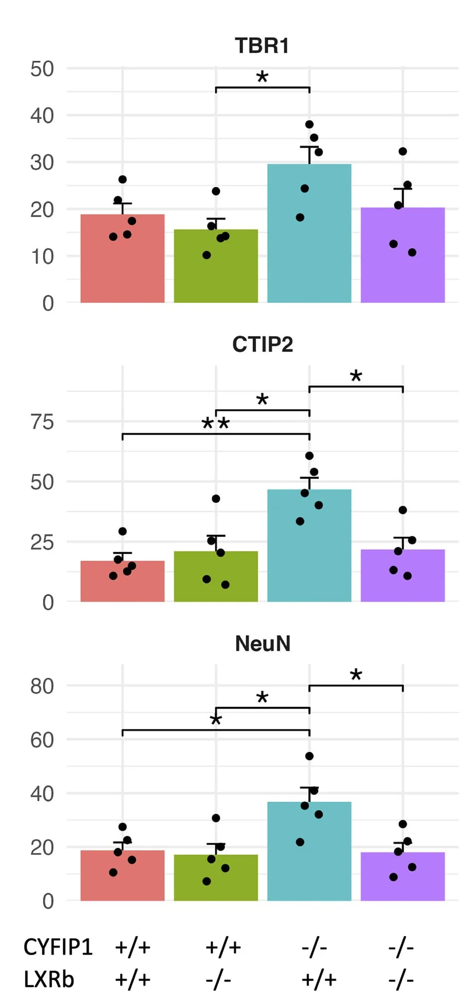 Open access visualization of Bar Plot, Error Bars, Mean, SEM, Biological Replicates