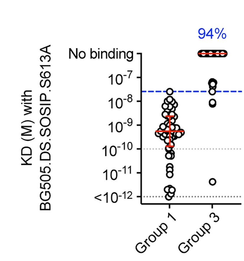 Open access visualization of Scatter Plot, Error Bars, KD Value, Supernatant, BG505.DS.SOSIP.S613A Trimer