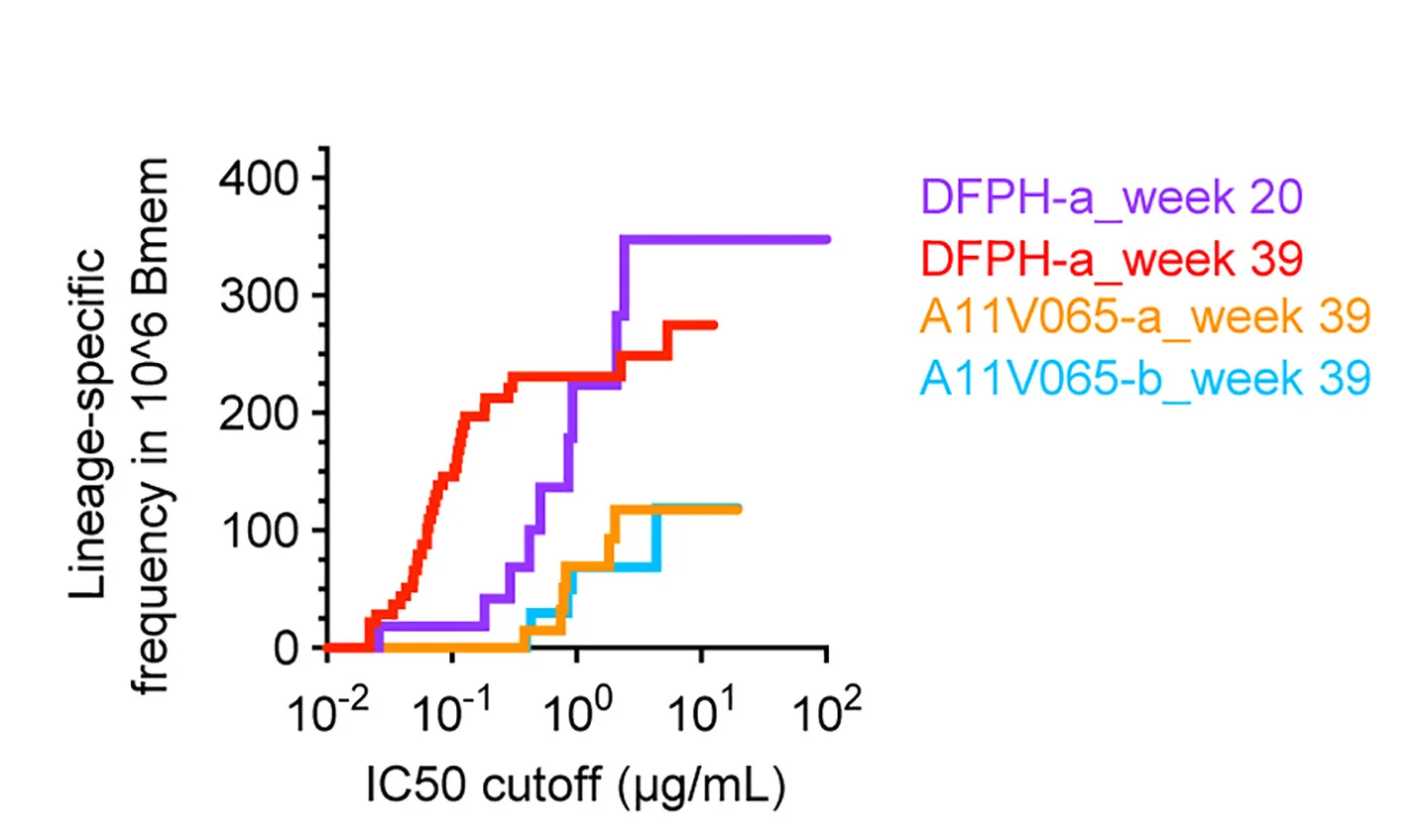 Open access visualization of Line Plot, Line Step, Frequency-IC50 Curves, Neutralizing Lineages, IgG+ Memory B Cells