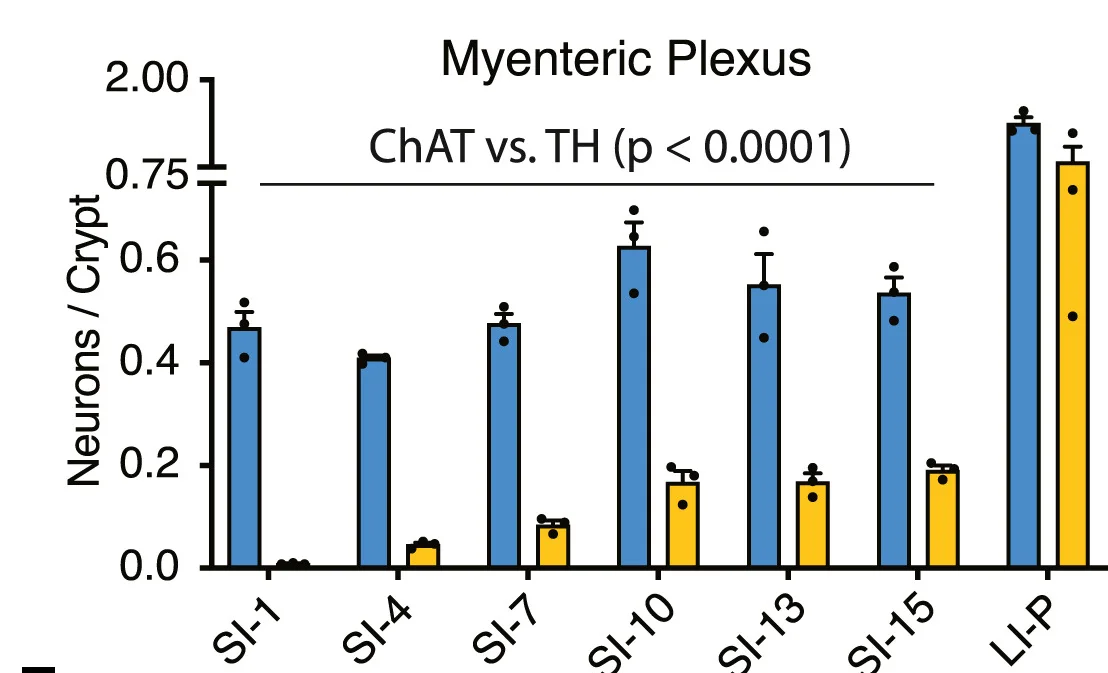 Open access visualization of Clustered, Error Bars, Bar Plot, Neurons, Myenteric Plexus