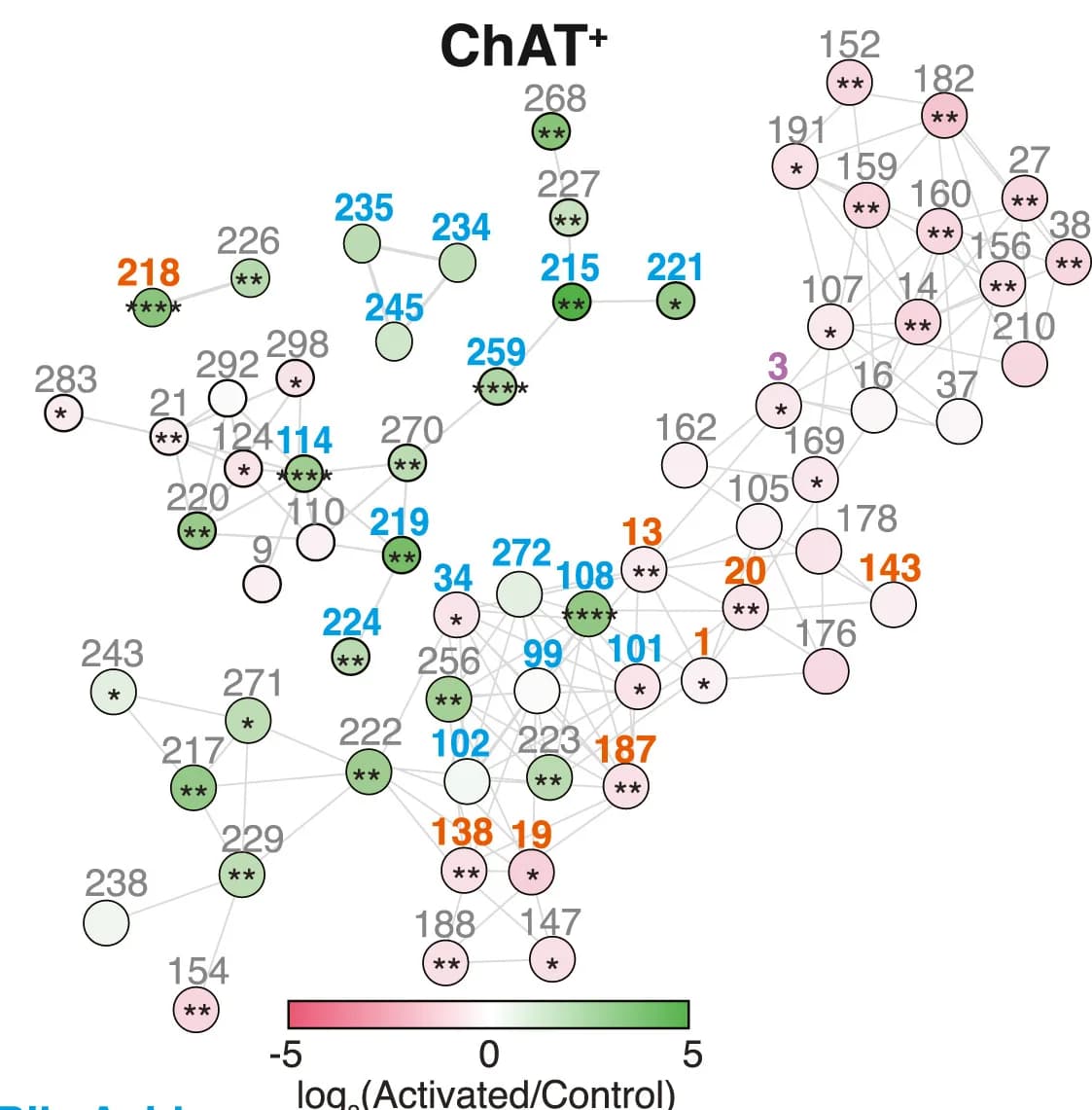 Open access visualization of Network, Metabolic Networks, Cecal Metabolites, TH+ Mice, ChAT+ Mice