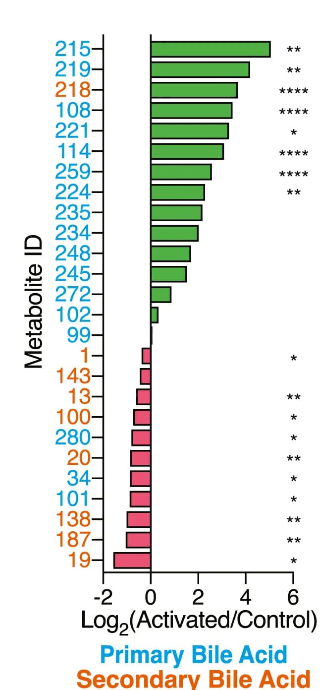 Open access visualization of Bar Plot, Fold Changes, Bile Acids, Upregulation, Downregulation