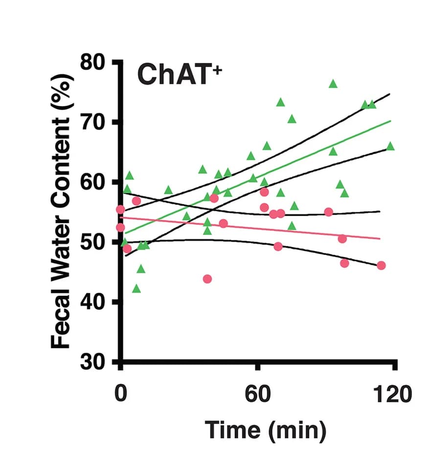 Open access visualization of Scatter Plot, Regression Plot, Fecal Pellet Water Content, ChAT+ Mice, Activation