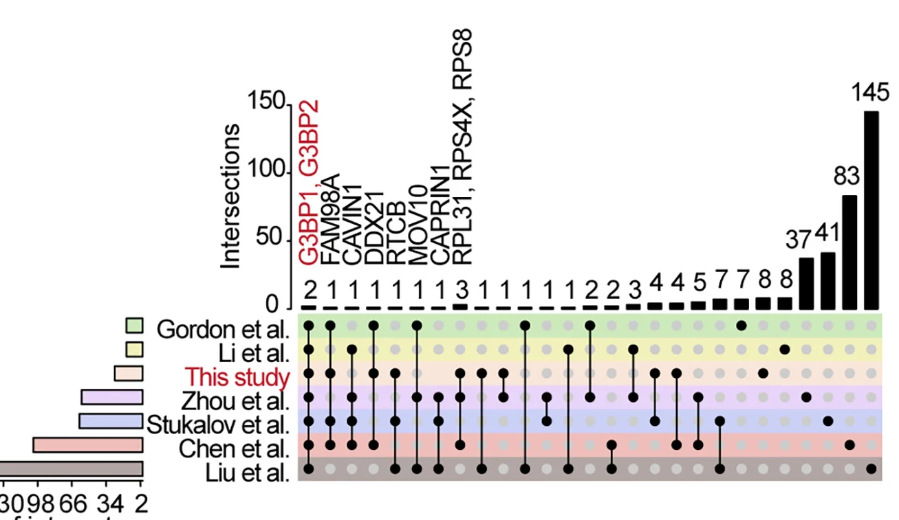 Open access visualization of Bar Plot, UpSet, UpSet Plot, N Interactomes