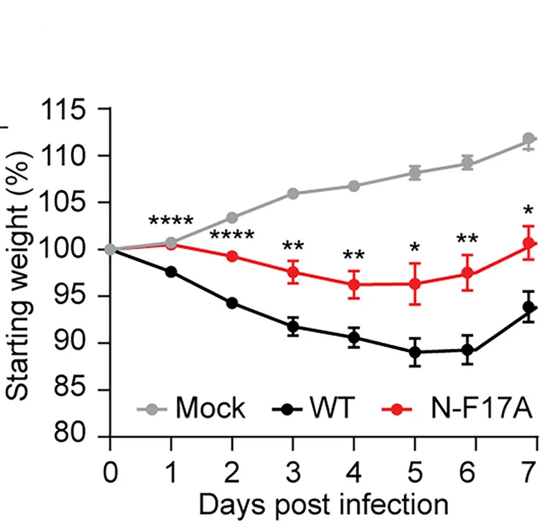 Open access visualization of Line Plot, Error Bars, Weight Change, Animals, Post Infection