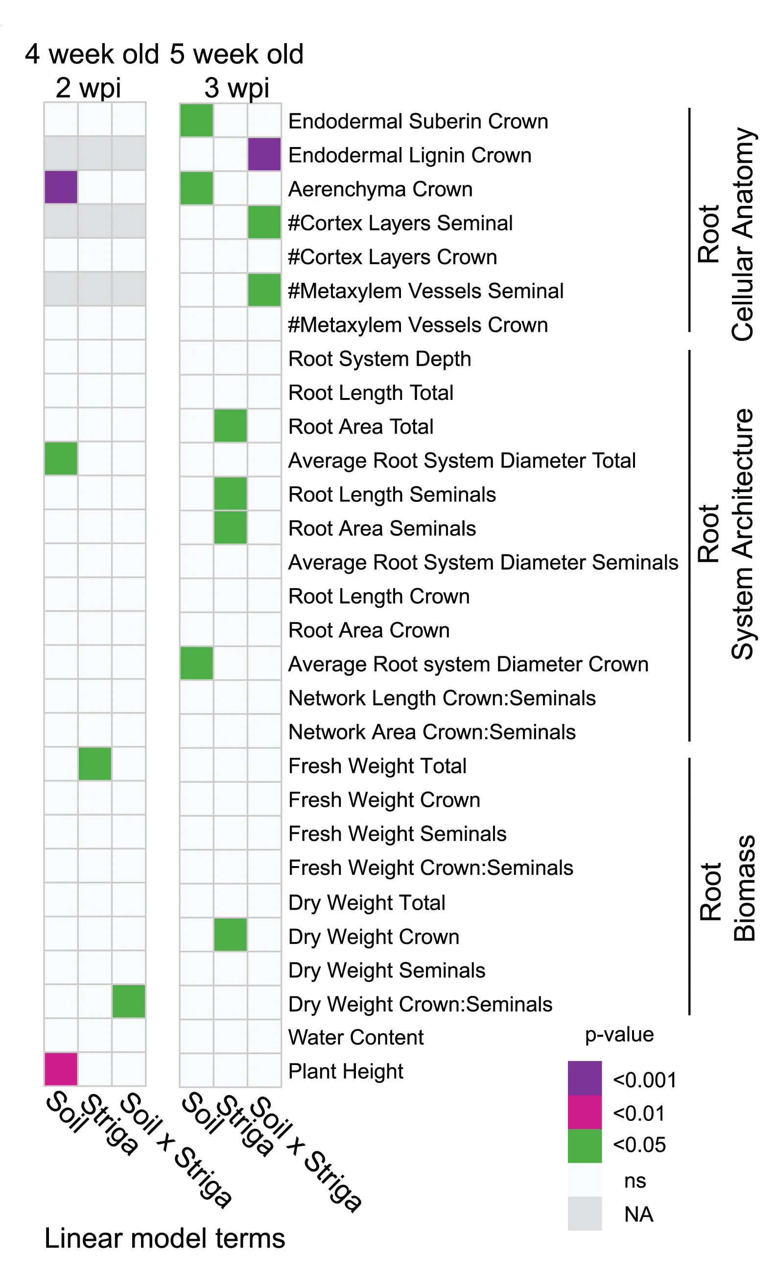 Open access visualization of Heatmap, Soil Microbiome, Striga Infection, Root Cellular Anatomy, Root System Architecture