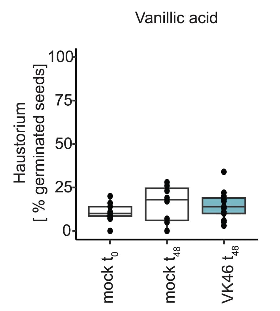 Open access visualization of Box Plot, Scatter Plot, VK46, Haustorium Formation, Vanillic Acid