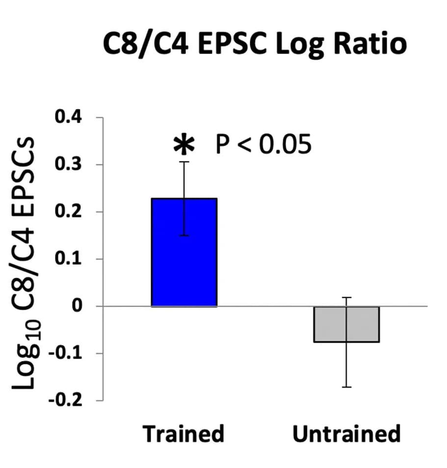 Open access visualization of Bar Plot, Error Bars, EPSC, Rats, T-Test