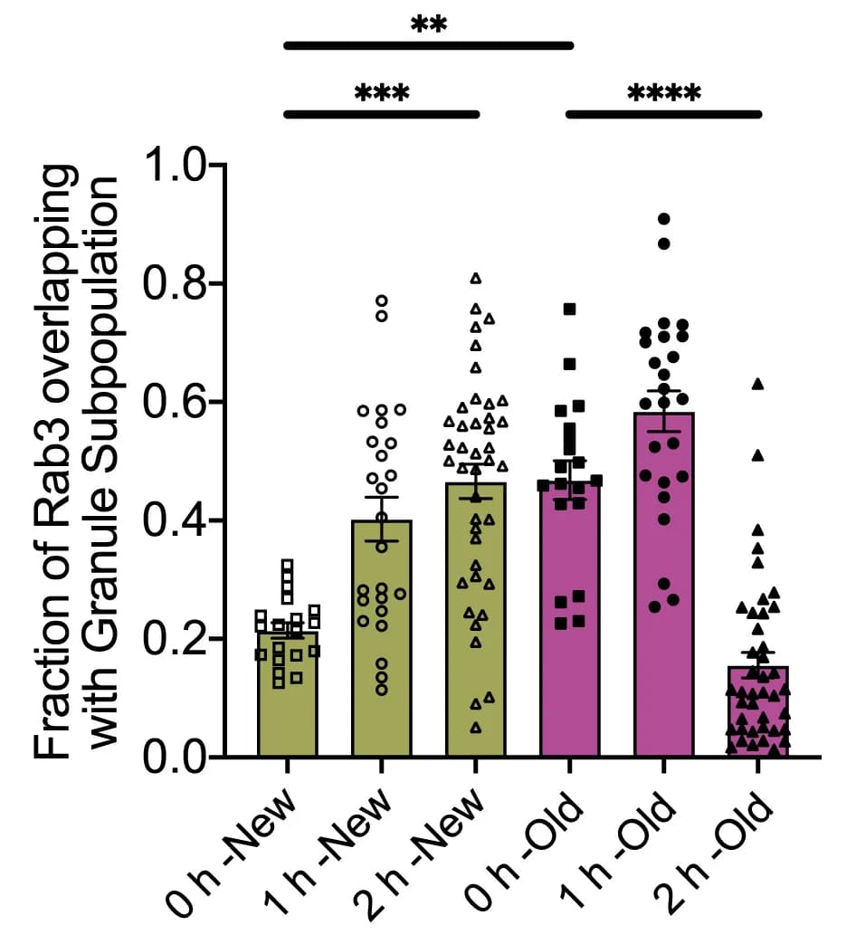 Open access visualization of Bar Plot, Error Bars, Scatter Plot, Mander's Coefficients, Rab3