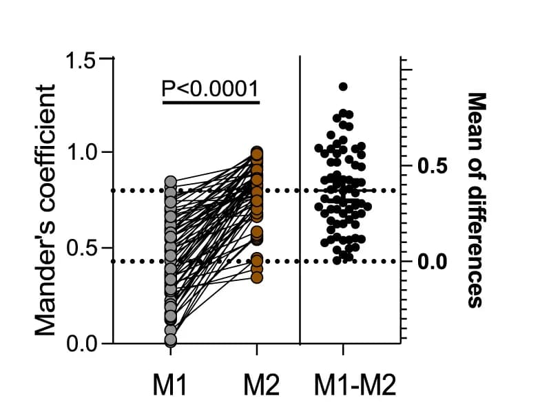 Open access visualization of Scatter Plot, Line Plot, Colocalization, Granules, Contact Site Reporter