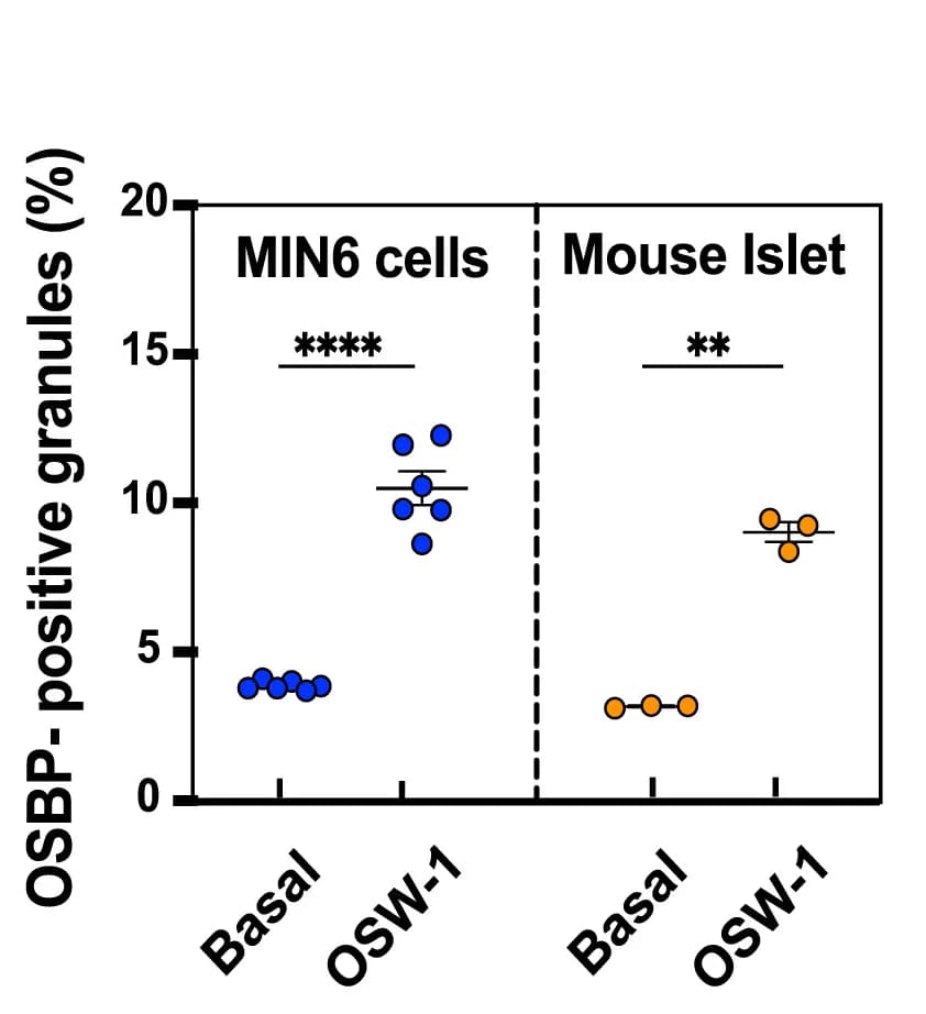 Open access visualization of Scatter Plot, Quantification, OSBP, Insulin Granules, MIN6 Cells