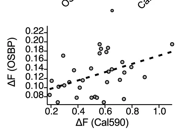 Open access visualization of Scatter Plot, Regression Plot, Depolarization, Calcium, GFP-OSBP