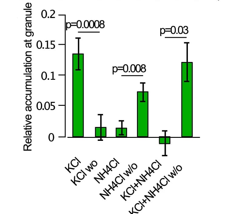 Open access visualization of Bar Plot, Error Bars, GFP-OSBP, NPY-mCherry, Granules