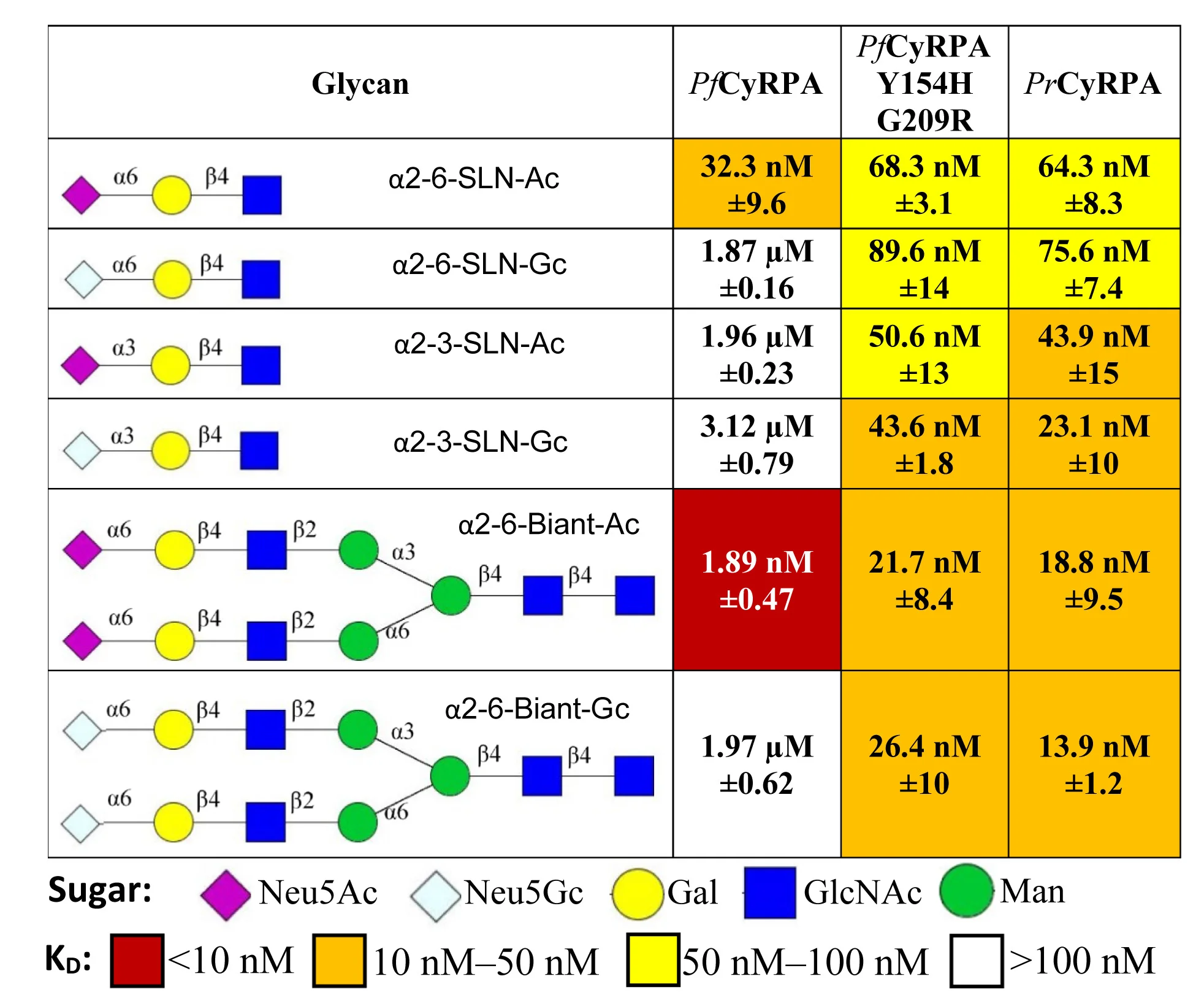 Open access visualization of Table Image, Illustration, Equilibrium Dissociation Constants, Glycan Binding, CyRPA