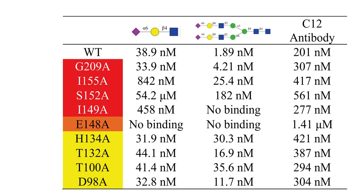 Open access visualization of Table Image, PfCyRPA, Wild Type, Alanine Scanning Mutants, Glycan Targets