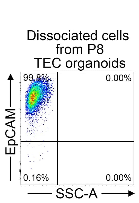 Open access visualization of Scatter Plot, Flow Cytometry, Dissociated Cells, TEC Organoids, EpCAM