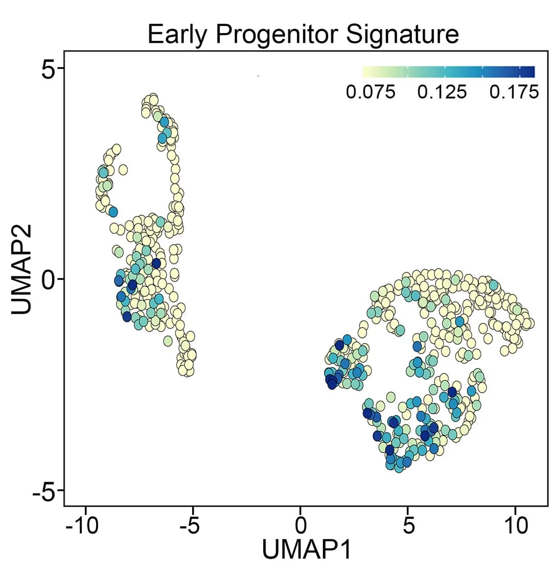 Open access visualization of Scatter Plot, UMAP, Early Progenitor, Gene Expression, Score