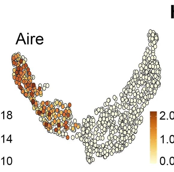 Open access visualization of Scatter Plot, UMAP, Aire, Gene Expression