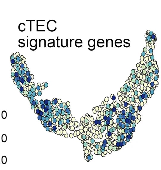 Open access visualization of Scatter Plot, UMAP, cTEC, Signature Gene Expression