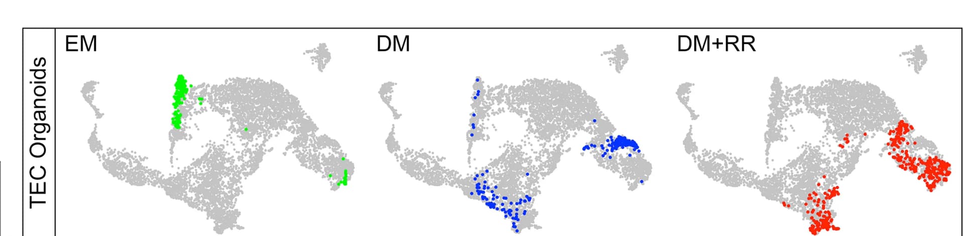 Open access visualization of Scatter Plot, UMAP, EM, DM, DM+RR