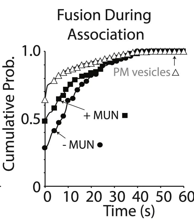 Open access visualization of Line Plot, Line Step, Fusion Latency, ISV-SM System, MUN