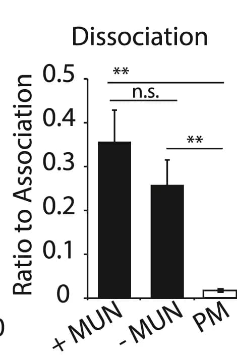 Open access visualization of Bar Plot, Error Bars, Dissociation, ISV-SM System, PM System
