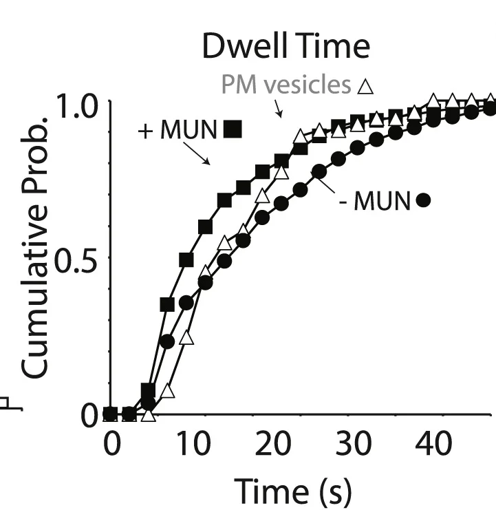 Open access visualization of Line Plot, Line Step, Dwell Times, Cumulative Probability Distribution, Association Time