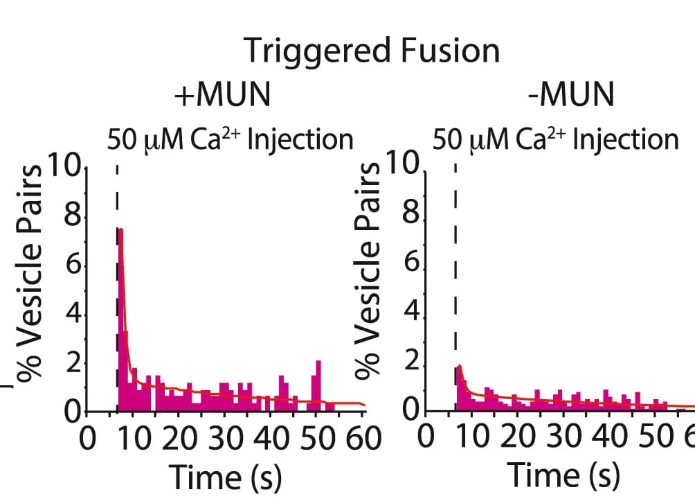 Open access visualization of Histogram, Line Plot, Fusion Histograms, PIP2 Fusion, MUN