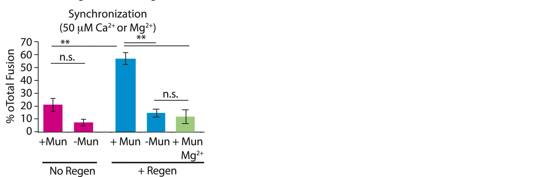 Open access visualization of Bar Plot, Error Bars, Fusion Events, Synchronization, Ca2+