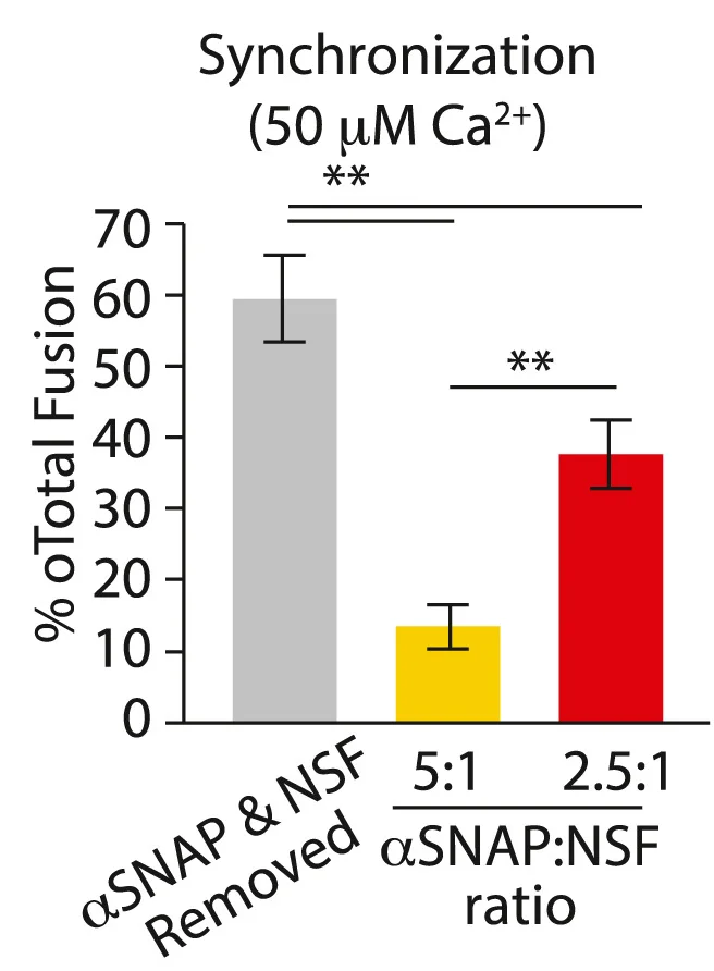 Open access visualization of Bar Plot, Error Bars, Fusion Events, Calcium Arrival, Synchronization