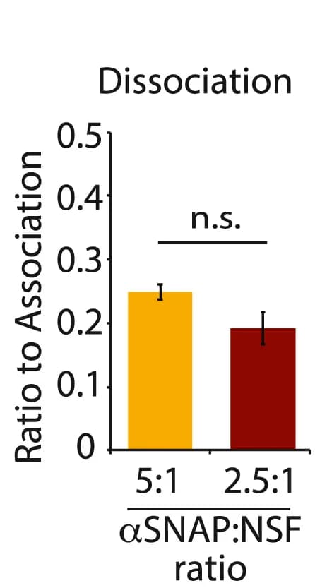 Open access visualization of Bar Plot, Error Bars, C1C2BMUNC2C, Dissociation, alpha-SNAP Concentration
