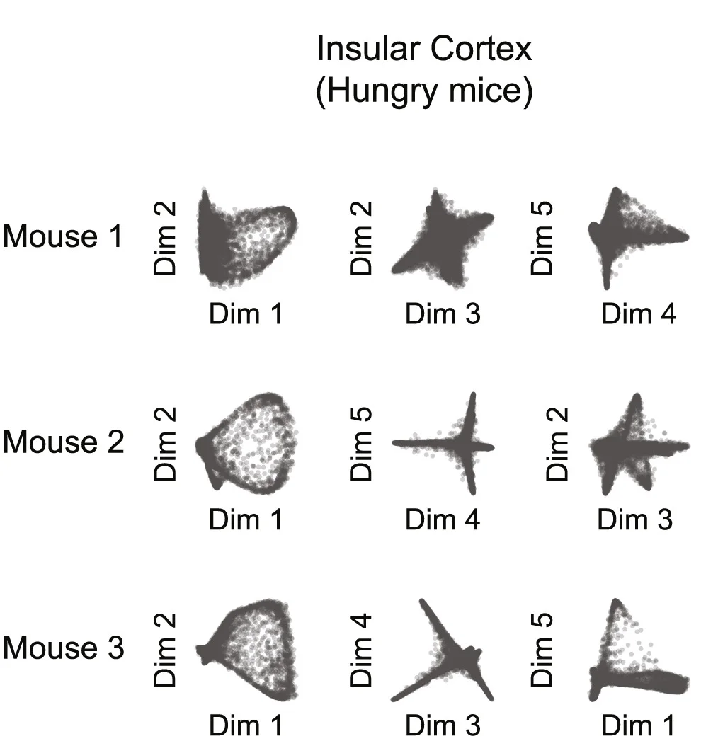 Open access visualization of Scatter Plot, Dimensionality-Reduced Neuronal Activity, Hungry Mice, Population Activity Pattern
