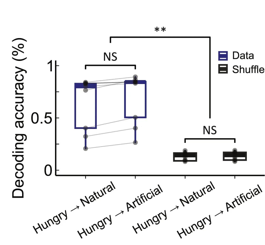Open access visualization of Box Plot, Decoding Accuracy, Rewarded Trials, Natural Hunger, Artificially Induced Hunger