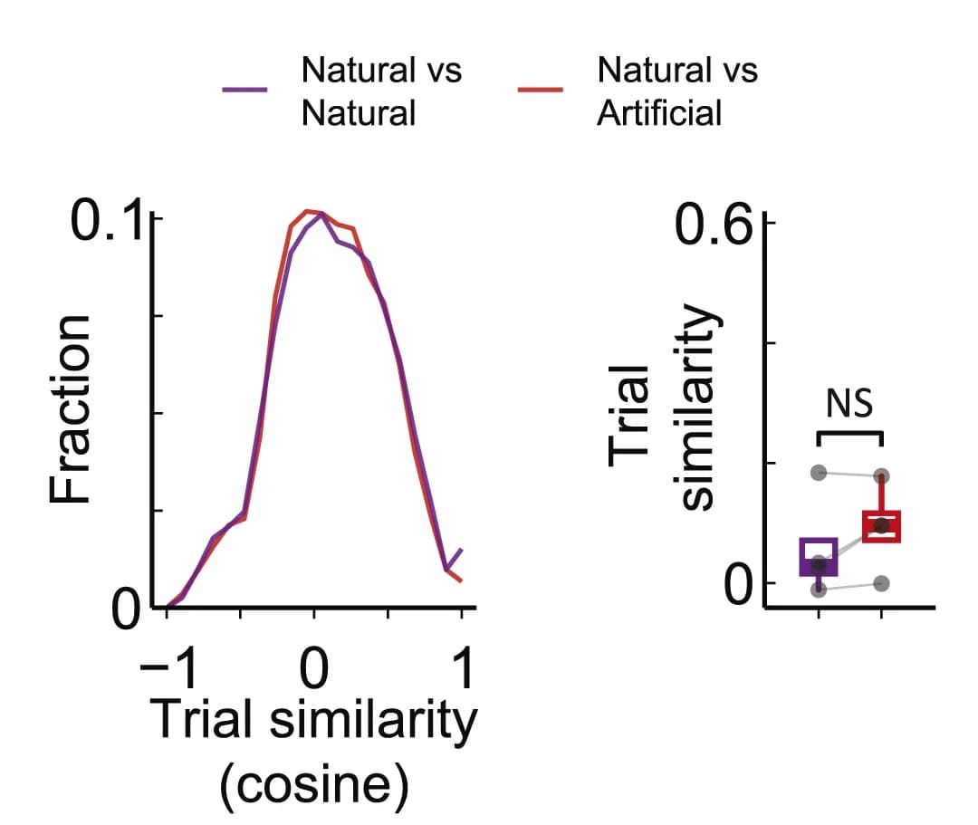 Open access visualization of Line Plot, Box Plot, Artificial Induction, Thirst, Chemogenetic Activation