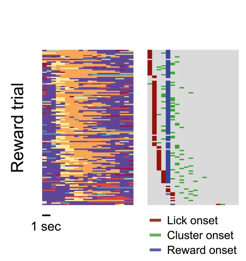 Open access visualization of Heatmap, Reward Onset, Anticipatory Licking, Activity Cluster, Cluster Dynamics