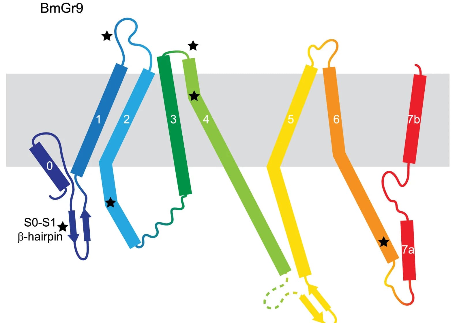 Open access visualization of Illustration, Workflow, Topology Diagram, BmGr9, MhOr5