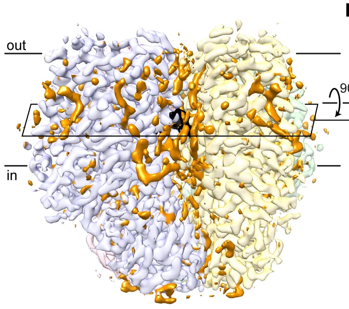 Open access visualization of Protein Structure, Cryo-EM Map, Non-Protein Densities, Lipids, BmGr9