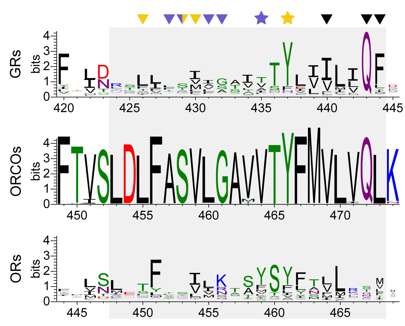 Open access visualization of Illustration, Sequence Logos, S7b Positions, Insect GRs, ORCOs