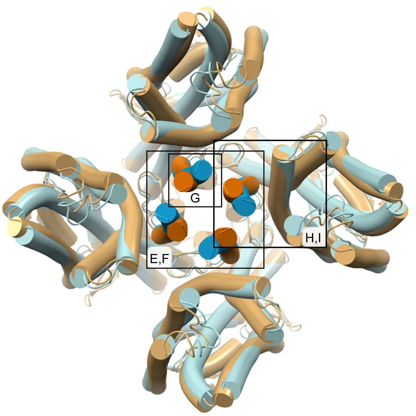 Open access visualization of Protein Structure, BmGr9, Ion Channel, Superposition, Agonist-free