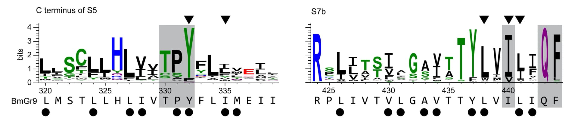 Open access visualization of Illustration, Sequence Logos, S5, S7b, Gr43a Subfamily