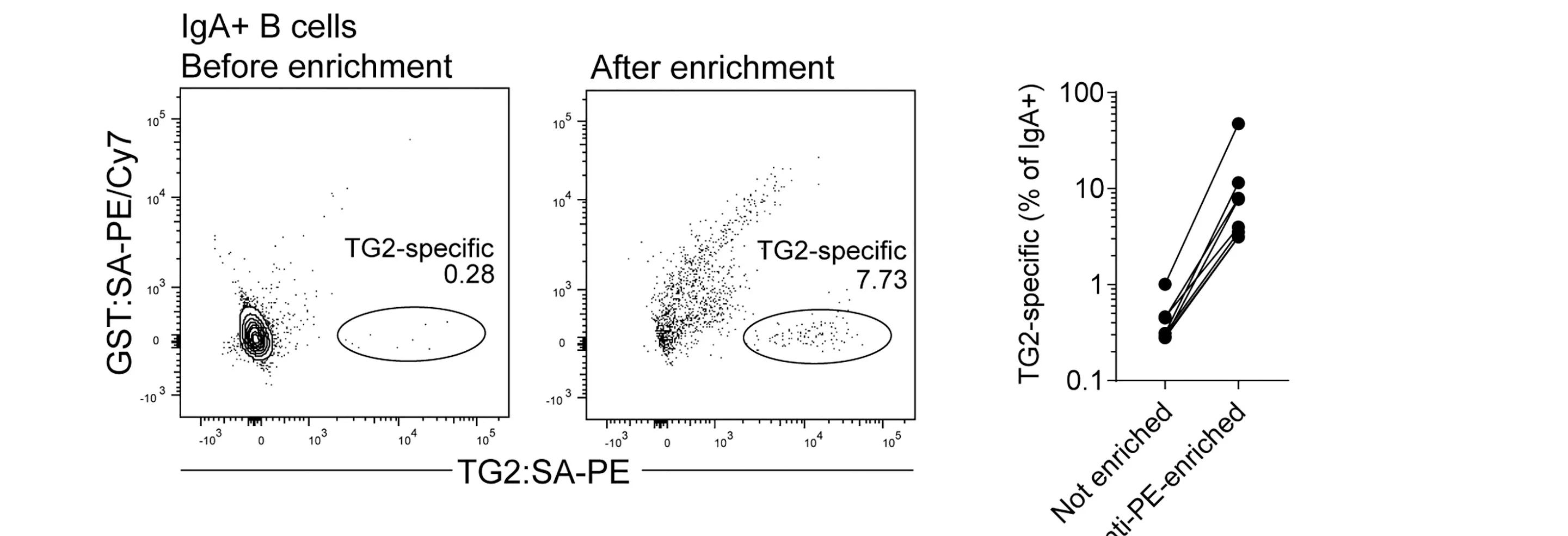 Open access visualization of Scatter Plot, Line Plot, Flow Cytometry, TG2 Staining, IgA-Switched B Cells