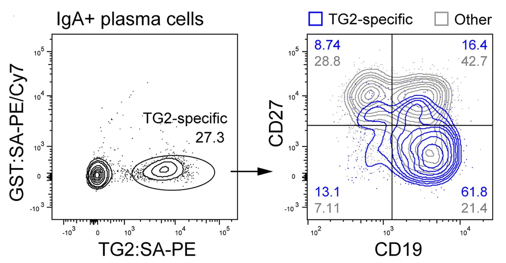 Open access visualization of Scatter Plot, Contour Plot, Flow Cytometry, IgA+ Plasma Cells, Duodenum