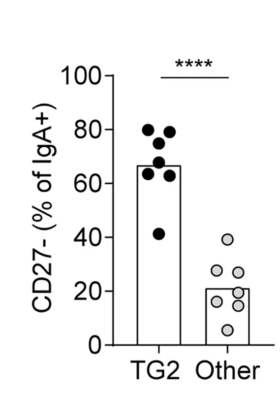 Open access visualization of Bar Plot, Scatter Plot, CeD Patients, Duodenum, IgA+ Plasma Cells