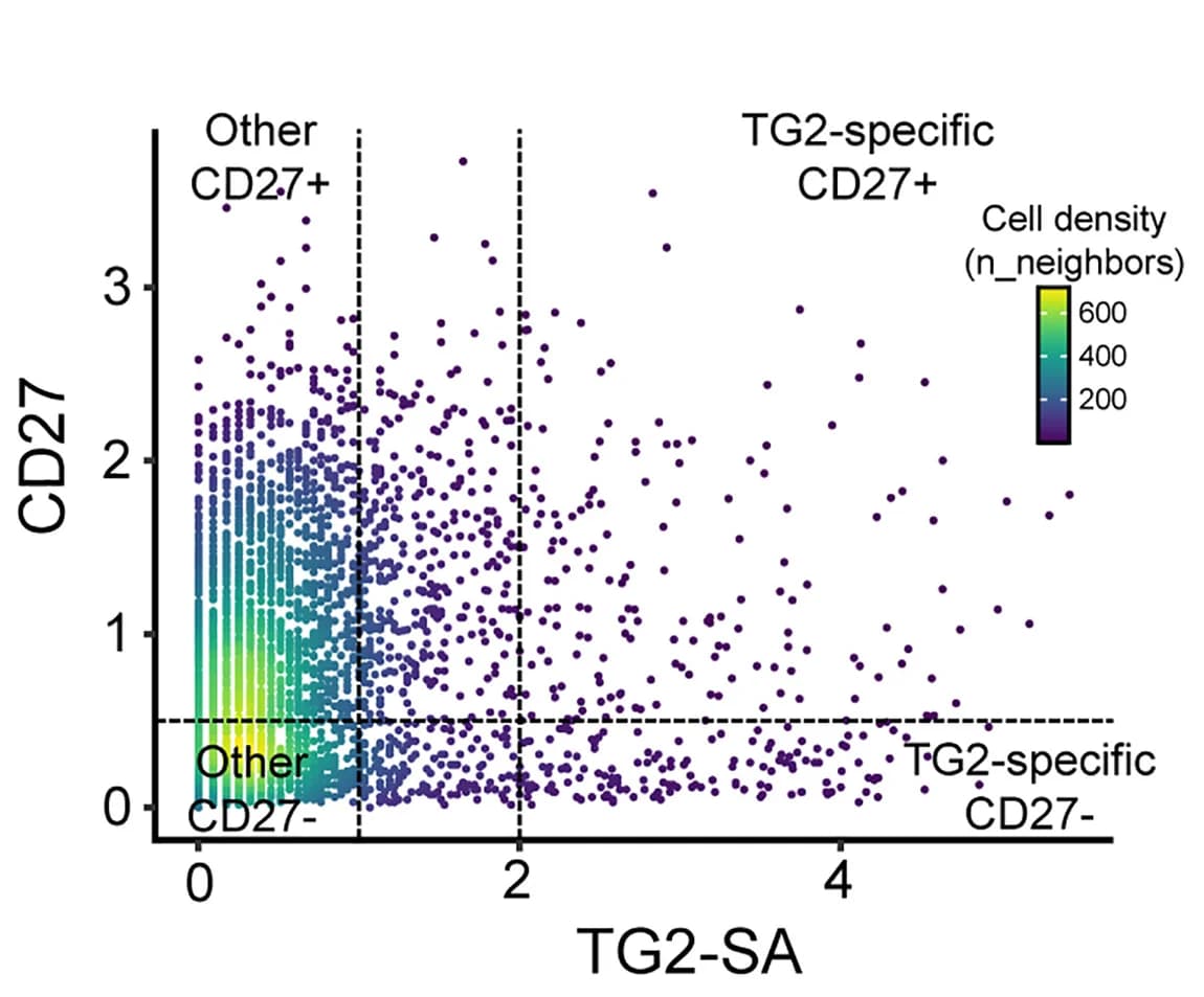 Open access visualization of Scatter Plot, Bubble Plot, CITE-seq, V(D)J Analysis, Transcriptome Analysis