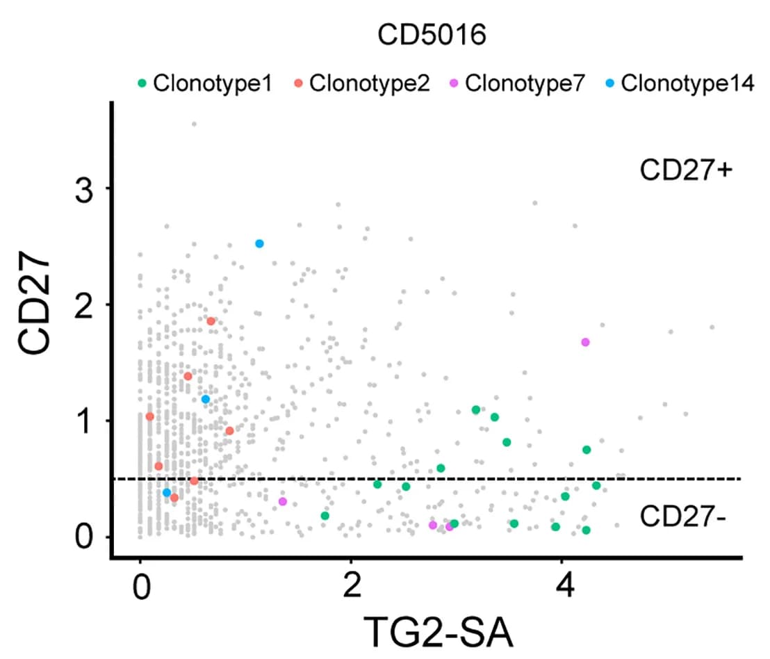 Open access visualization of Scatter Plot, Clonotypes, CD27+ Cells, CD27- Cells