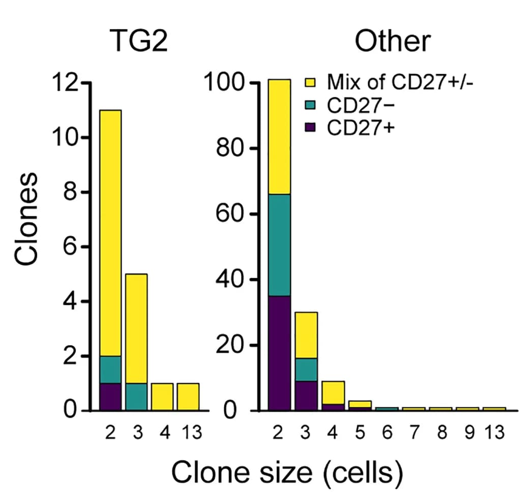 Open access visualization of Stacked Bar Plot, Clonotypes, CD27+ Cells, CD27- Cells, Plasma Cells